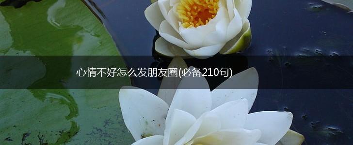 心情不好怎么发朋友圈(必备210句),第1张