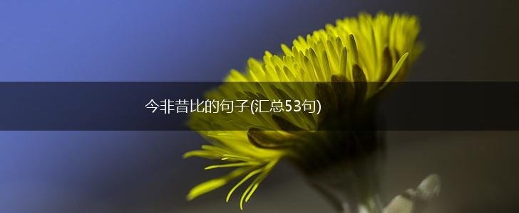 今非昔比的句子(汇总53句),第1张