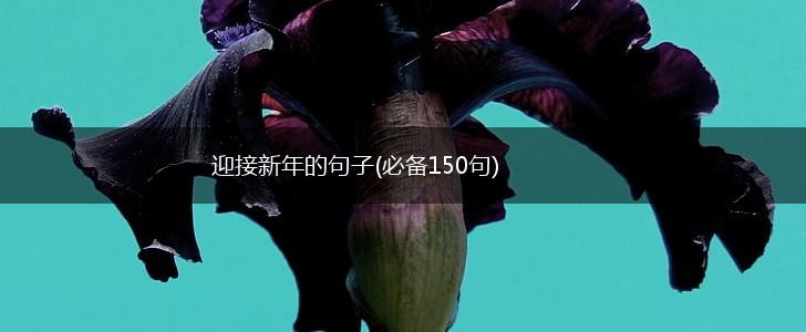 迎接新年的句子(必备150句),第1张