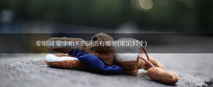 荦组词 荦字相关的词语有哪些(常见37个),第1张