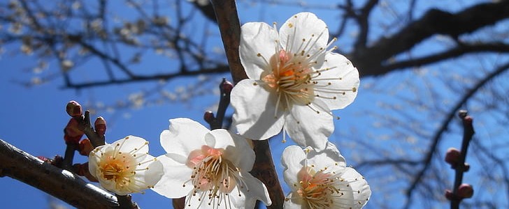 让我们相遇(优选190句),第2张