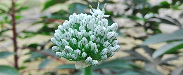 春雨怎么形容(通用130句),第3张