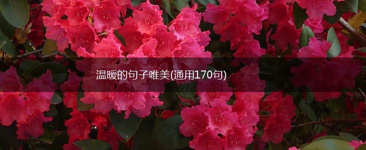 温暖的句子唯美(通用170句),第1张