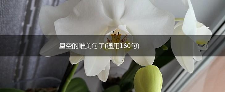 星空的唯美句子(通用160句),第1张
