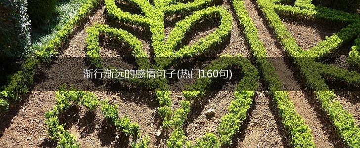 渐行渐远的感情句子(热门160句),第1张