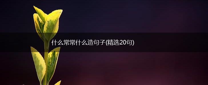 什么常常什么造句子(精选20句)