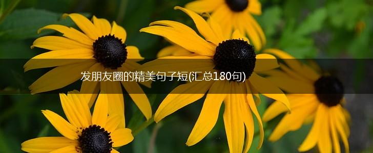 发朋友圈的精美句子短(汇总180句),第1张