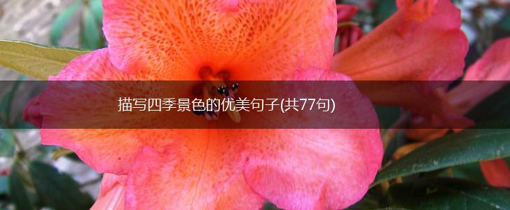 描写四季景色的优美句子(共77句),第1张