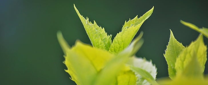 简单快乐的短句(通用189句),第3张