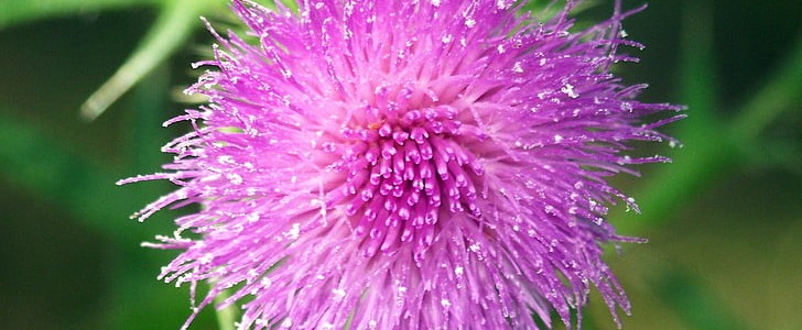 踏青的唯美句子(推荐100句),第3张