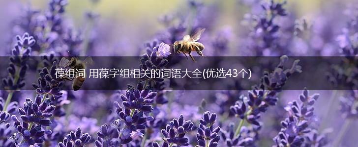 葆组词 用葆字组相关的词语大全(优选43个),第1张