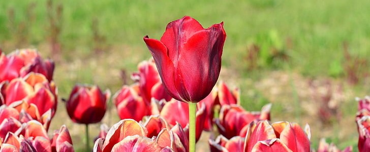 烟花的唯美句子(汇总161句),第3张