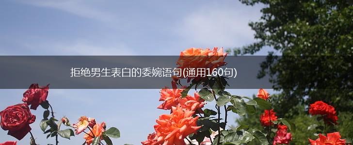 拒绝男生表白的委婉语句(通用160句),第1张 拒绝男生表白的委婉语句(通用160句),第1张