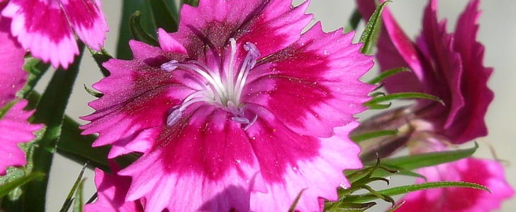 激励上进正能量句子(实用200句),第2张