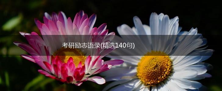考研励志语录(精选140句),第1张