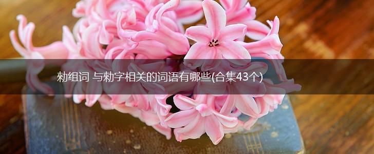 勑组词 与勑字相关的词语有哪些(合集43个),第1张