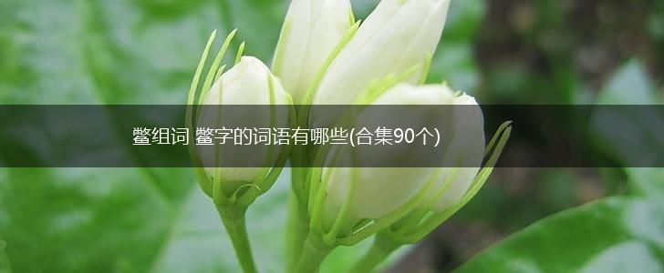 鳖组词 鳖字的词语有哪些(合集90个),第1张