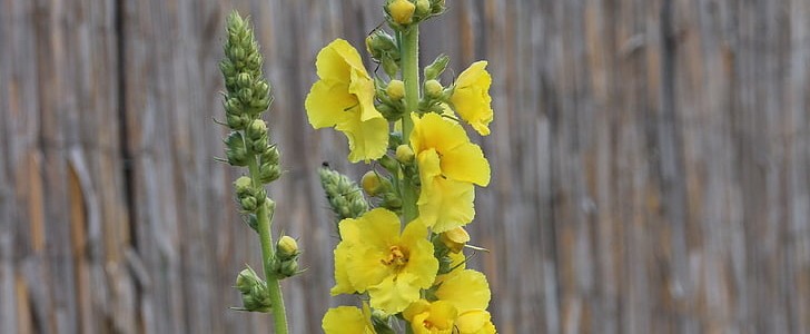 绝交的句子霸气(共180句),第2张 绝交的句子霸气(共180句),第2张