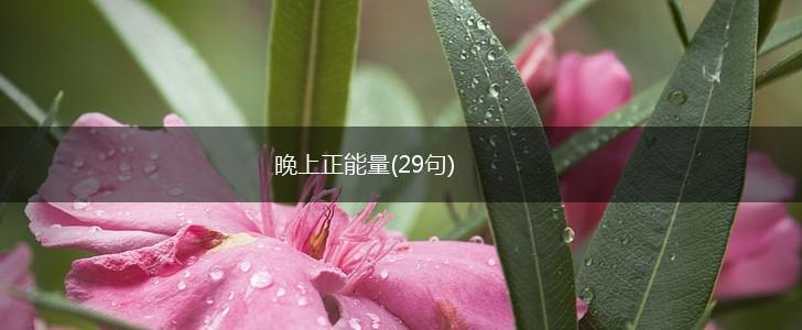 晚上正能量(29句),第1张