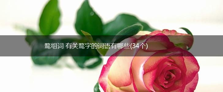 鹜组词 有关鹜字的词语有哪些(34个),第1张