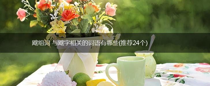 飕组词 与飕字相关的词语有哪些(推荐24个),第1张