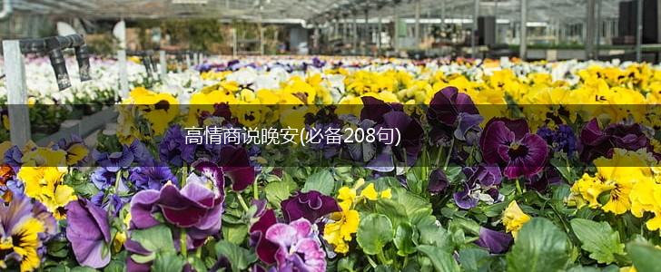 高情商说晚安(必备208句),第1张