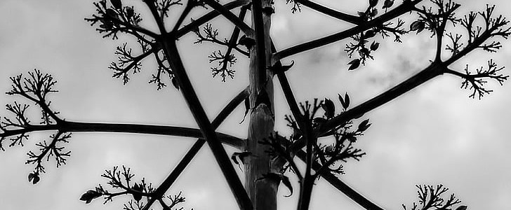 自我激励的话简短(精选179句),第3张