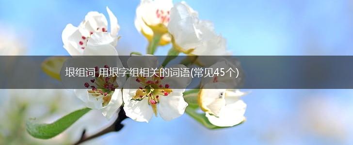 垠组词 用垠字组相关的词语(常见45个),第1张