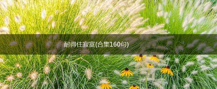 耐得住寂寞(合集160句),第1张