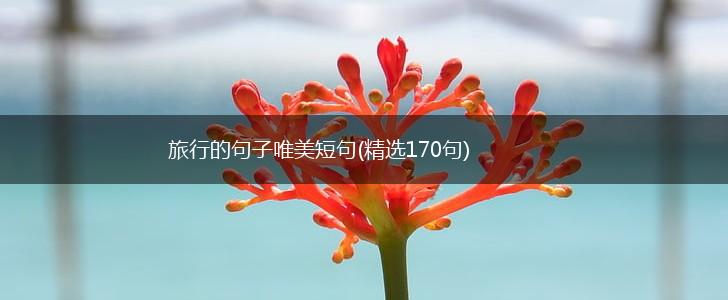 旅行的句子唯美短句(精选170句),第1张