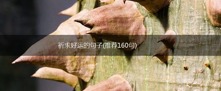 祈求好运的句子(推荐160句),第1张