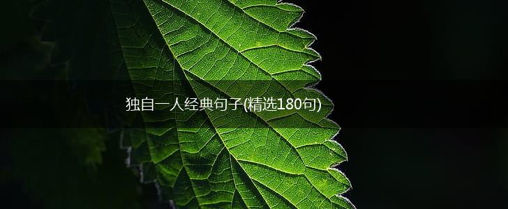 独自一人经典句子(精选180句),第1张