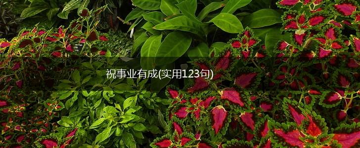 祝事业有成(实用123句),第1张