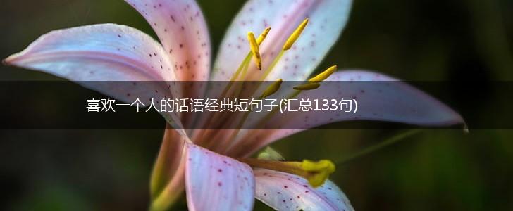 喜欢一个人的话语经典短句子(汇总133句),第1张