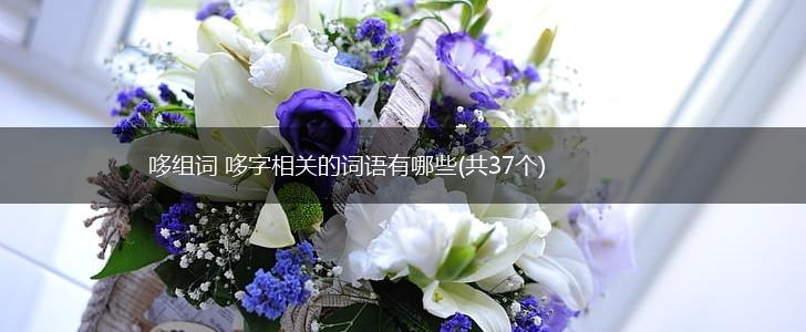 哆组词 哆字相关的词语有哪些(共37个),第1张