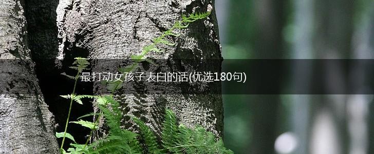 最打动女孩子表白的话(优选180句),第1张