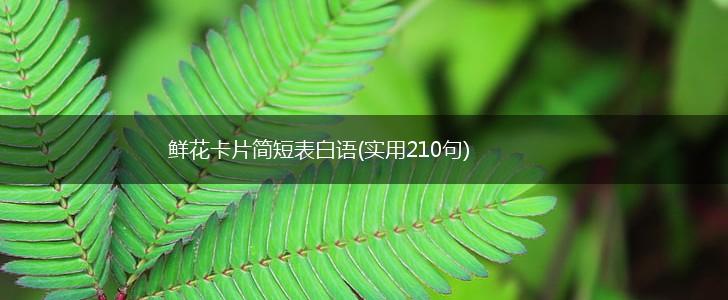 鲜花卡片简短表白语(实用210句),第1张