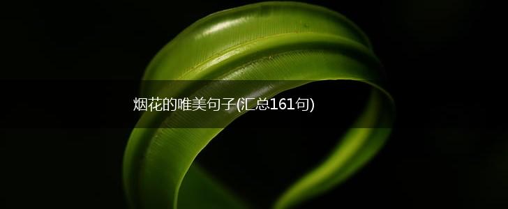 烟花的唯美句子(汇总161句),第1张