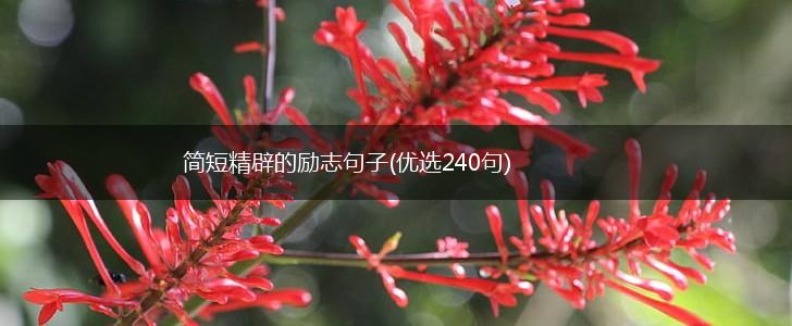 简短精辟的励志句子(优选240句),第1张