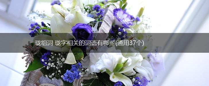 珑组词 珑字相关的词语有哪些(通用37个),第1张