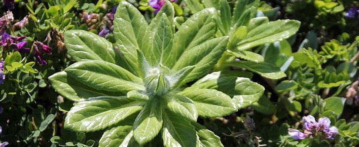 我们回不去的青春(129句),第3张 我们回不去的青春(129句),第3张