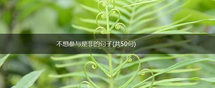 不想参与是非的句子(共50句),第1张