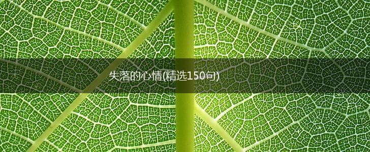 失落的心情(精选150句),第1张