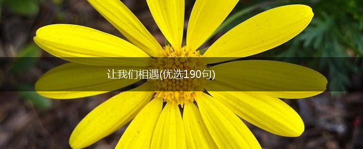 让我们相遇(优选190句),第1张