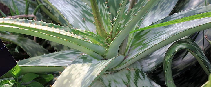 职场正能量(推荐150句),第3张
