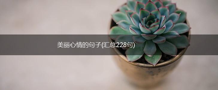 美丽心情的句子(汇总228句),第1张