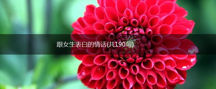 跟女生表白的情话(共190句),第1张