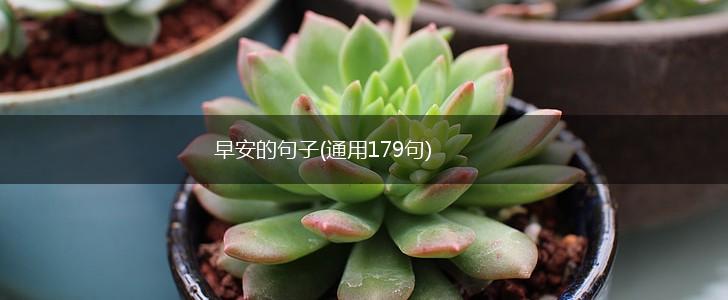 早安的句子(通用179句),第1张