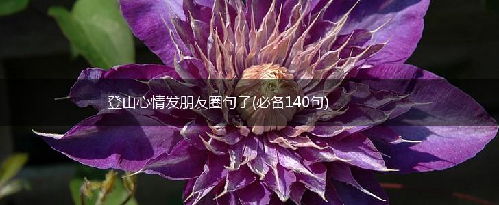 登山心情发朋友圈句子(必备140句),第1张