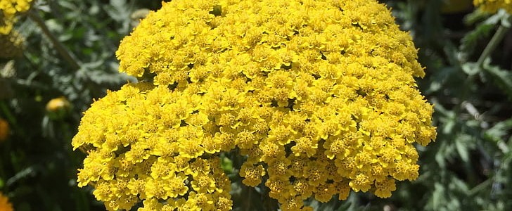 沉默的句子(合集200句),第2张